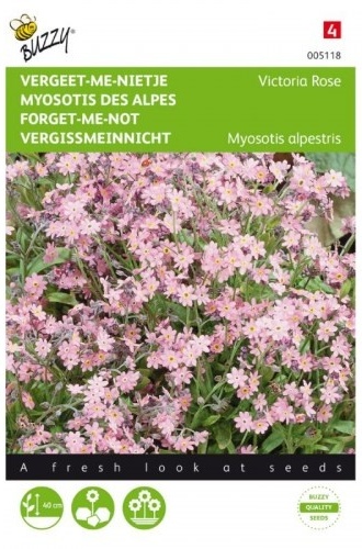 Myosotis alpestris Victoria Rose, Nezábudka ružová cca0,3 g